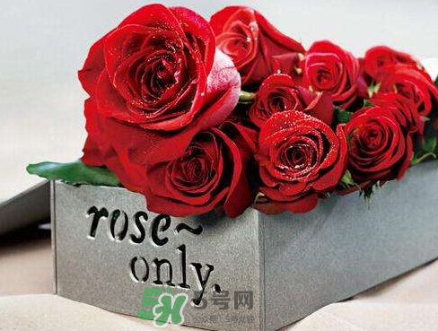 roseonly怎么樣？roseonly好看嗎？