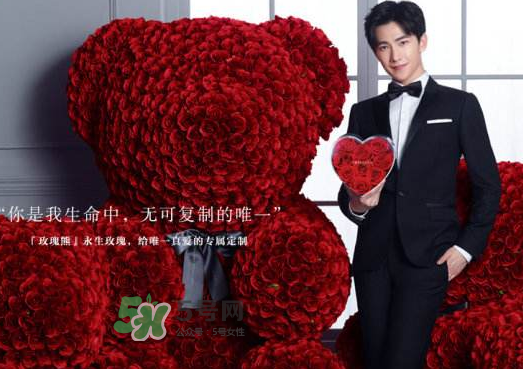 roseonly熊多大_roseonly玫瑰熊尺寸_roseonly玫瑰熊怎么買