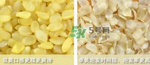 皂角米吃了有什么好處？皂角米的功效與作用