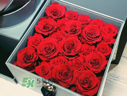 roseonly怎么買？roseonly如何買第二次？