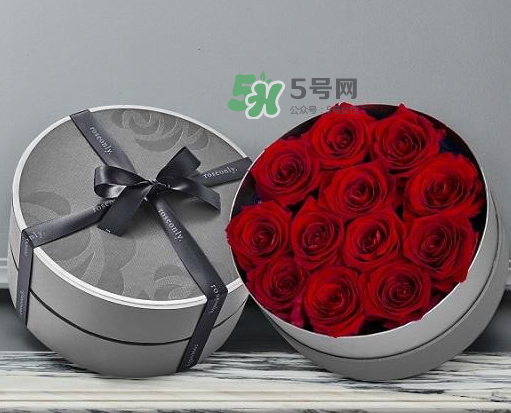 roseonly怎么讀？roseonly怎么讀在線讀？