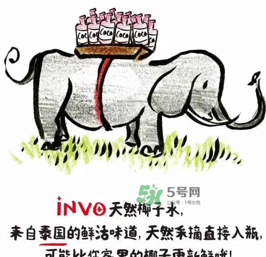 invo椰子水多少錢？invo椰子水好喝嗎？