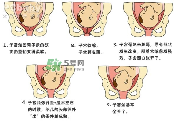 生孩子的過(guò)程是怎樣的？生孩子的真實(shí)過(guò)程