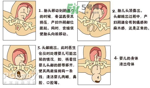 生孩子的過(guò)程是怎樣的？生孩子的真實(shí)過(guò)程