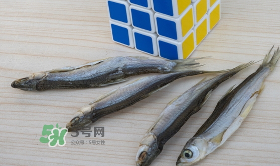 刁子魚是發(fā)物嗎？刁子魚是不是發(fā)物