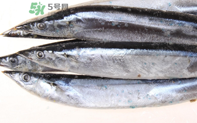 秋刀魚是海魚嗎？秋刀魚是淡水魚還是海魚