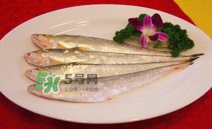 秋刀魚是刀魚嗎？秋刀魚和刀魚的區(qū)別