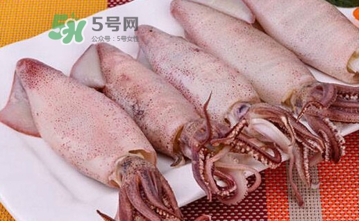 海兔子是小魷魚(yú)嗎？海兔子和魷魚(yú)的區(qū)別