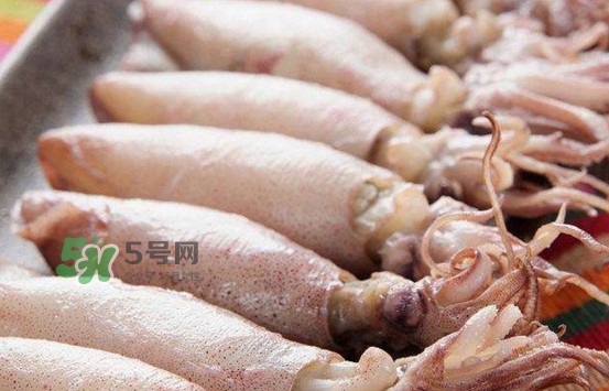 海兔子是小魷魚(yú)嗎？海兔子和魷魚(yú)的區(qū)別