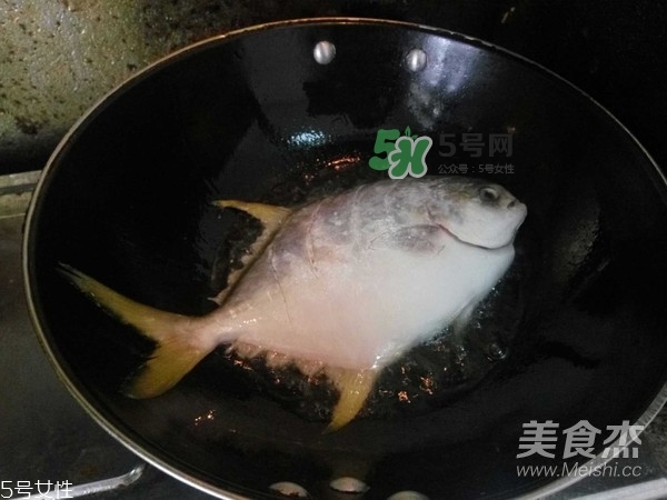 金鯧魚是海魚嗎？金鯧魚的刺多嗎？