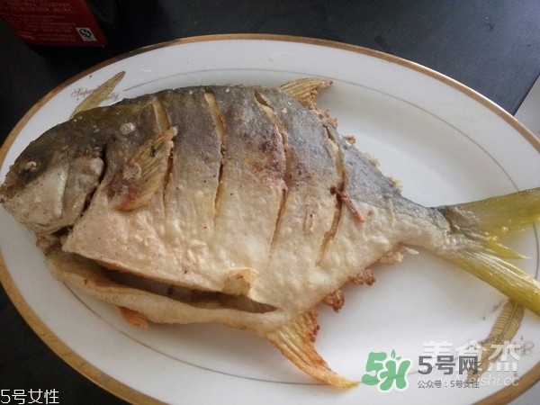 金鯧魚是海魚嗎？金鯧魚的刺多嗎？