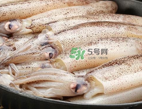 筆管魚是什么魚？筆管魚怎么吃