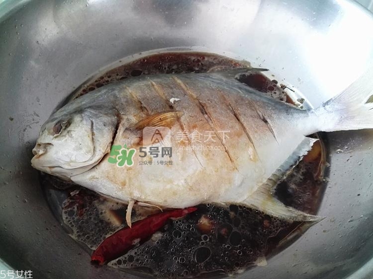 金鯧魚(yú)的營(yíng)養(yǎng)價(jià)值 金鯧魚(yú)的功效作用