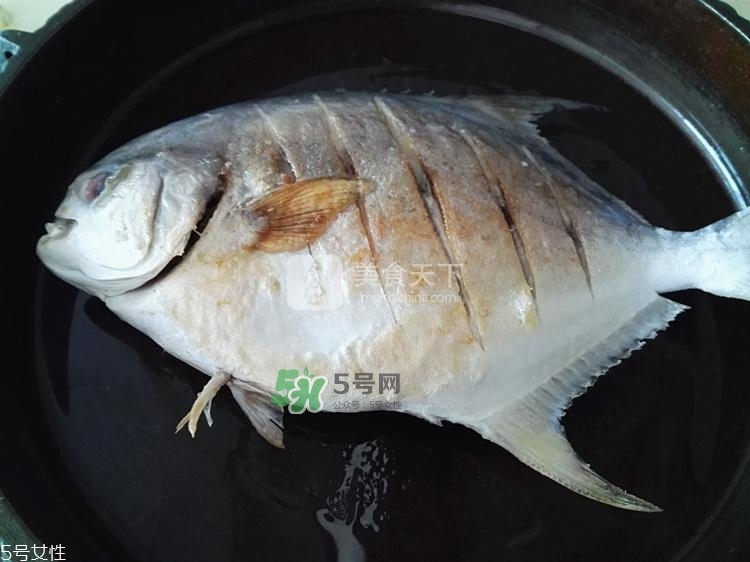 金鯧魚(yú)的營(yíng)養(yǎng)價(jià)值 金鯧魚(yú)的功效作用