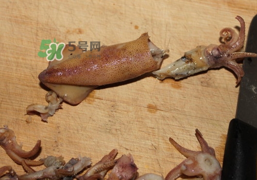 筆管魚(yú)怎么清洗？筆管魚(yú)怎么處理