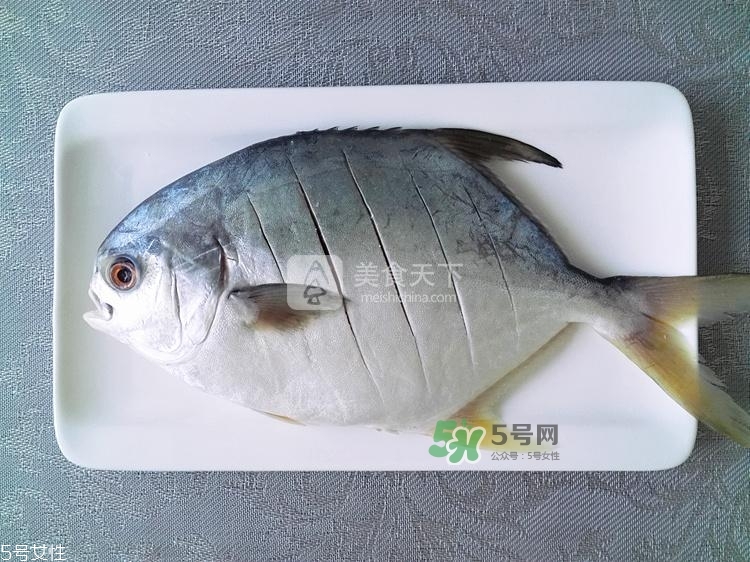 金鯧魚(yú)的營(yíng)養(yǎng)價(jià)值 金鯧魚(yú)的功效作用