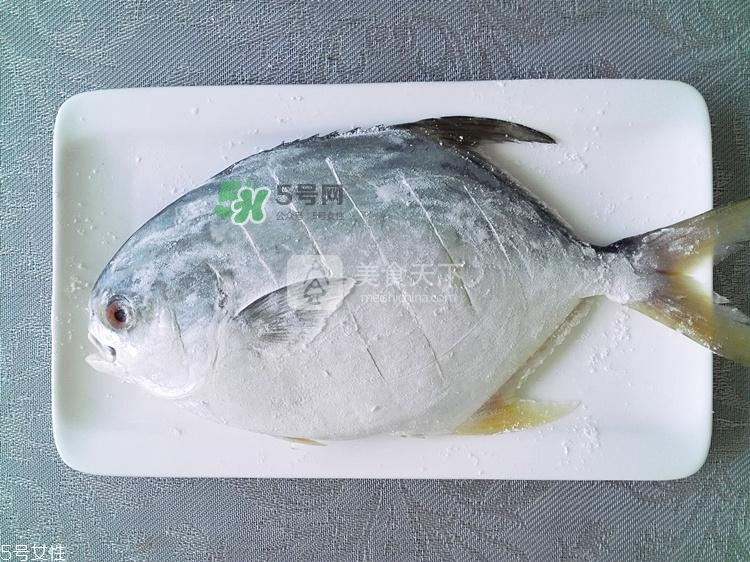 金鯧魚(yú)的營(yíng)養(yǎng)價(jià)值 金鯧魚(yú)的功效作用