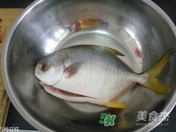 金鯧魚是海魚嗎？金鯧魚的刺多嗎？