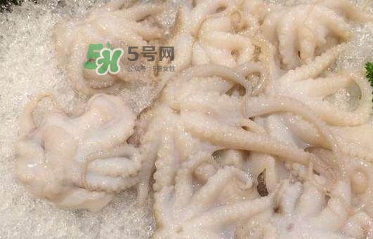 八爪魚的頭能吃嗎？八爪魚的頭里面是什么