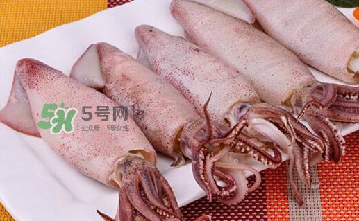 筆管魚怎么做好吃？筆管魚有什么營養(yǎng)