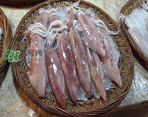 新鮮魷魚怎么保存？魷魚可以冷凍嗎