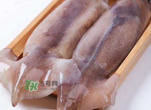 新鮮魷魚怎么保存？魷魚可以冷凍嗎