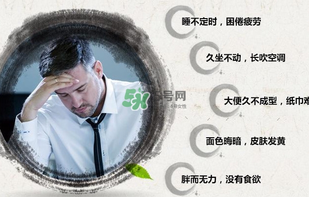 酵素足貼真的排濕毒嗎？酵素足貼真的有功效嗎