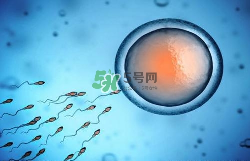 精子在女性體內(nèi)可以存活多久？男性的精子會(huì)枯竭嗎？