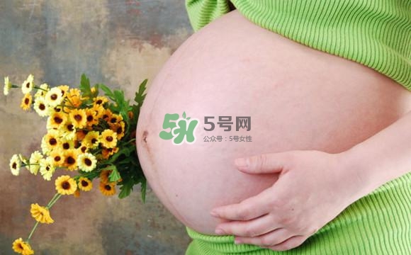 為什么孕婦的肚子有尖有圓？孕婦肚子尖圓對照圖