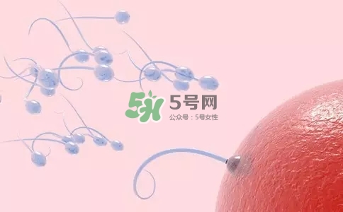 精子在女性體內(nèi)可以存活多久？男性的精子會(huì)枯竭嗎？