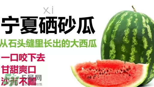 石頭瓜的營養(yǎng)價(jià)值 石頭瓜的功效作用