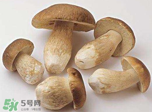 牛肝菌要泡發(fā)多久？牛肝菌怎么清洗