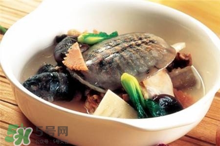 產(chǎn)婦能吃甲魚嗎？產(chǎn)婦能吃甲魚湯嗎？