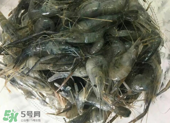 河蝦是基圍蝦嗎？河蝦是辛辣食物嗎？