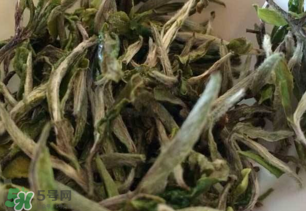 白茶需要洗茶嗎？白茶是洗還是不洗？