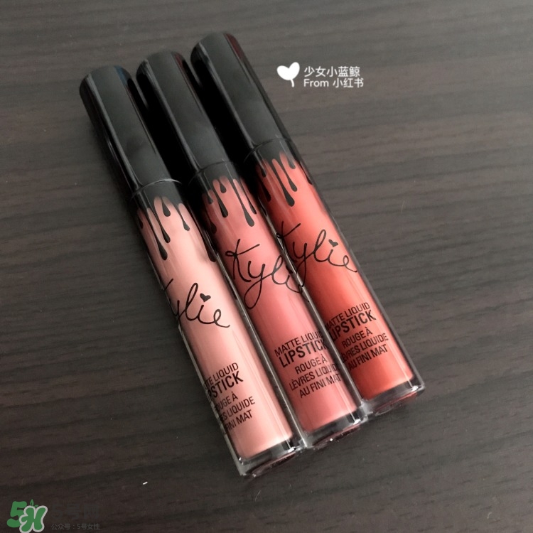 kylie cosmetics唇釉色號(hào)_kylie cosmetics唇釉試色圖