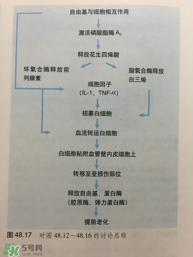 面部皮膚炎癥怎么消炎 皮膚炎癥管理