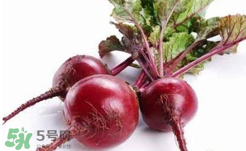 甜菜根是蘿卜嗎？甜菜根是什么菜