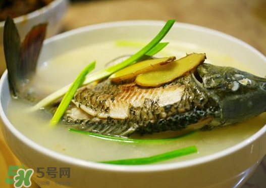 鯉魚(yú)湯怎么做好吃？鯉魚(yú)湯里面可以放什么？