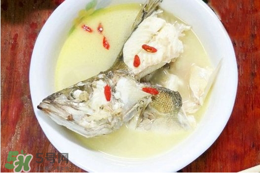 鯉魚(yú)湯怎么做好吃？鯉魚(yú)湯里面可以放什么？