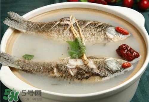 鯽魚湯下奶嗎？鯽魚湯的功效與作用