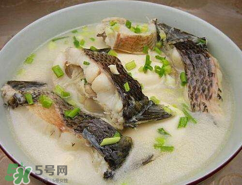 黑魚(yú)湯對(duì)傷口有好處嗎？黑魚(yú)湯的做法術(shù)后恢復(fù)