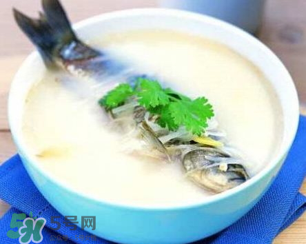 鯽魚湯可以放牛奶嗎？牛奶鯽魚湯的做法