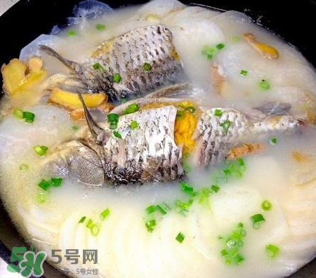 鯽魚湯可以放牛奶嗎？牛奶鯽魚湯的做法