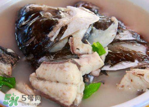 鰱魚(yú)湯怎么熬湯？鰱魚(yú)湯的功效與作用