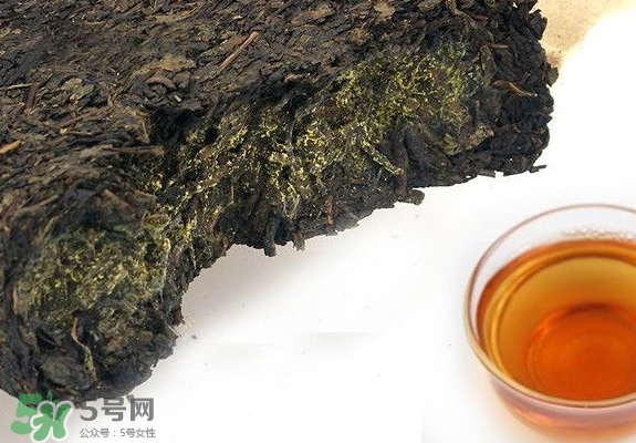 茯茶是熱性還是涼性？茯茶是不是放越久越好？