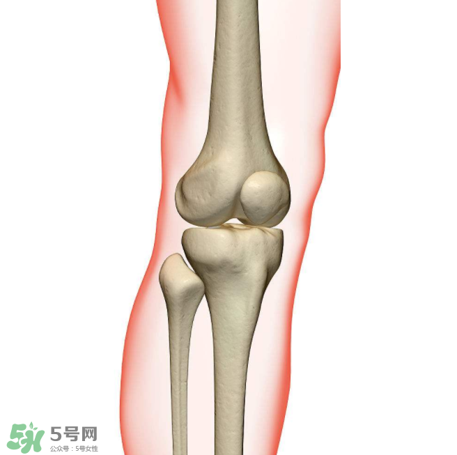 風(fēng)濕不治療可以治愈嗎？早期風(fēng)濕能自愈嗎？