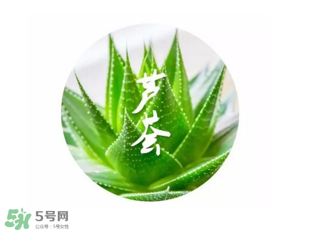 蘆薈膠的醫(yī)療作用有哪些？蘆薈膠的使用方法有哪些？