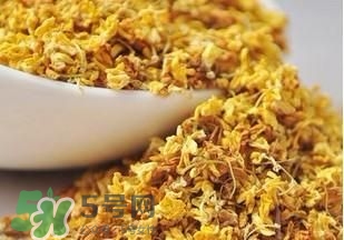 桂花茶怎么泡？桂花茶泡水喝的禁忌 