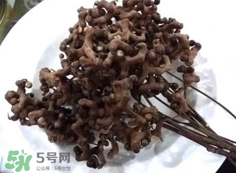 拐棗可以嫁接嗎？拐棗是哪里的特產(chǎn)